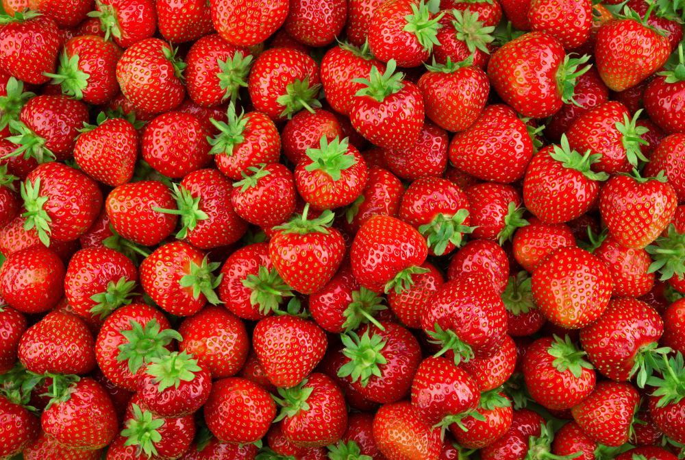 Marc Food/Shutterstock/Fotodom
