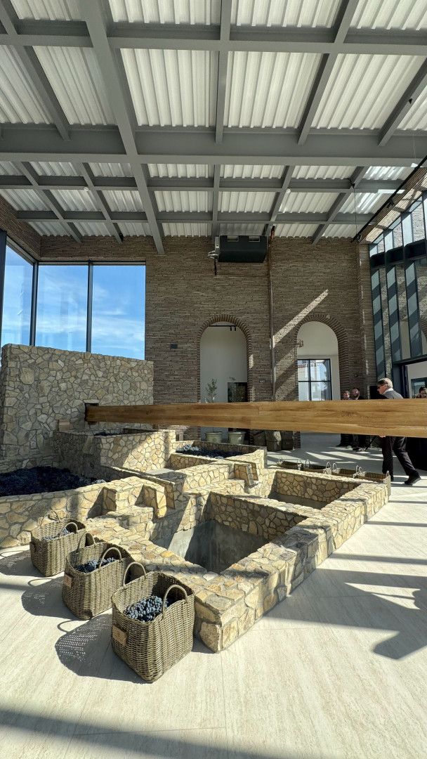 Источник: Фанагория