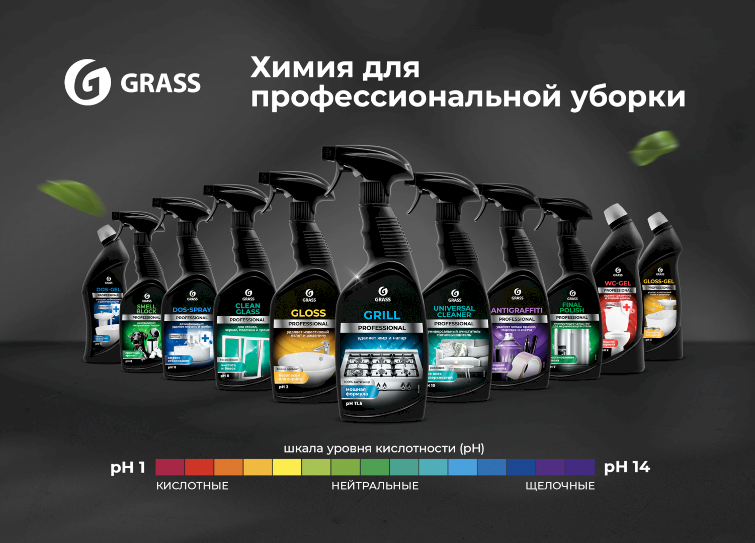 Черная Линейка_реклама_превью.png