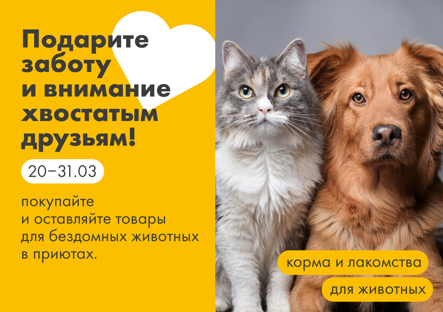 Источник: Лента