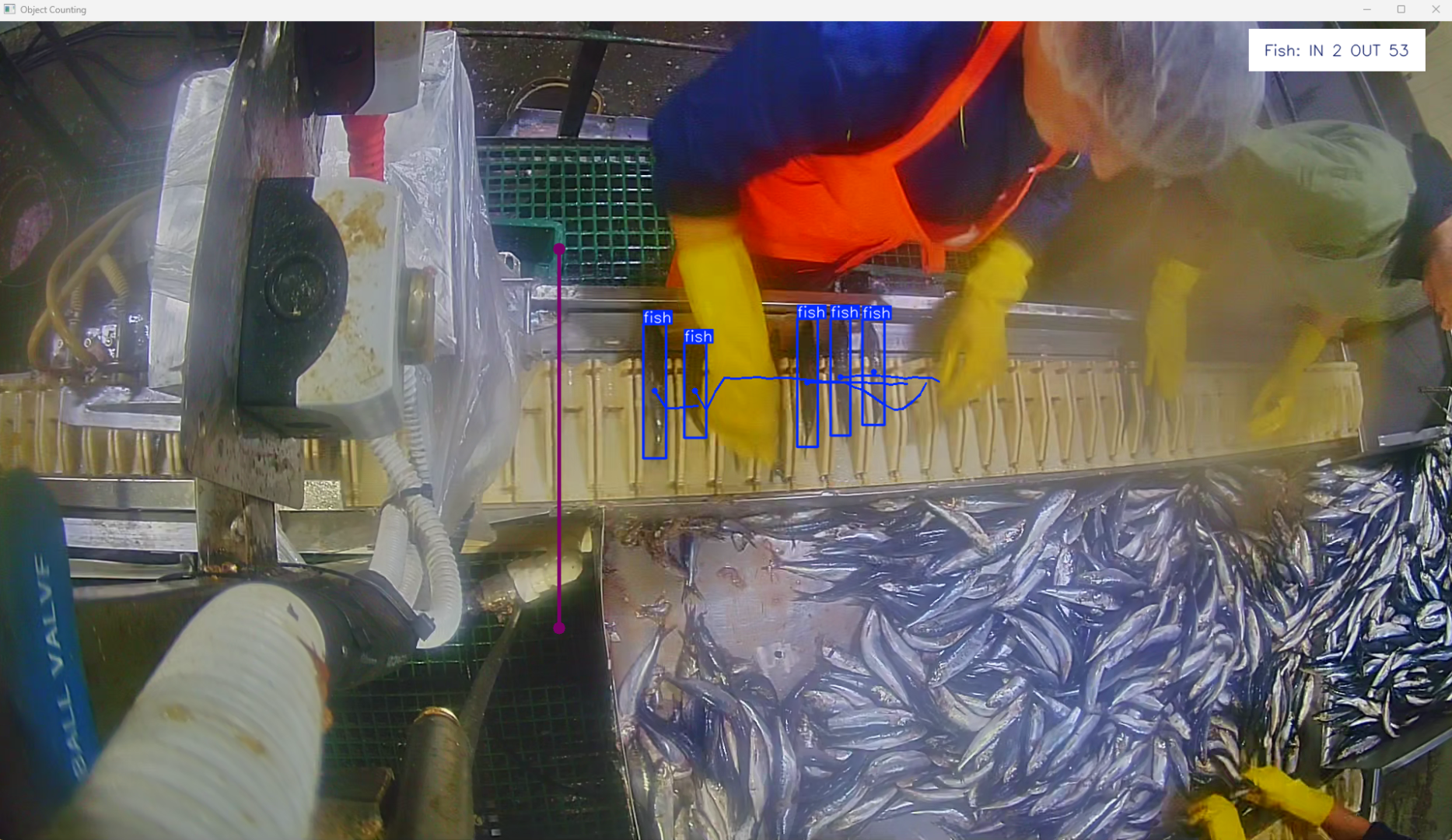 Фото: «Доброфлот»