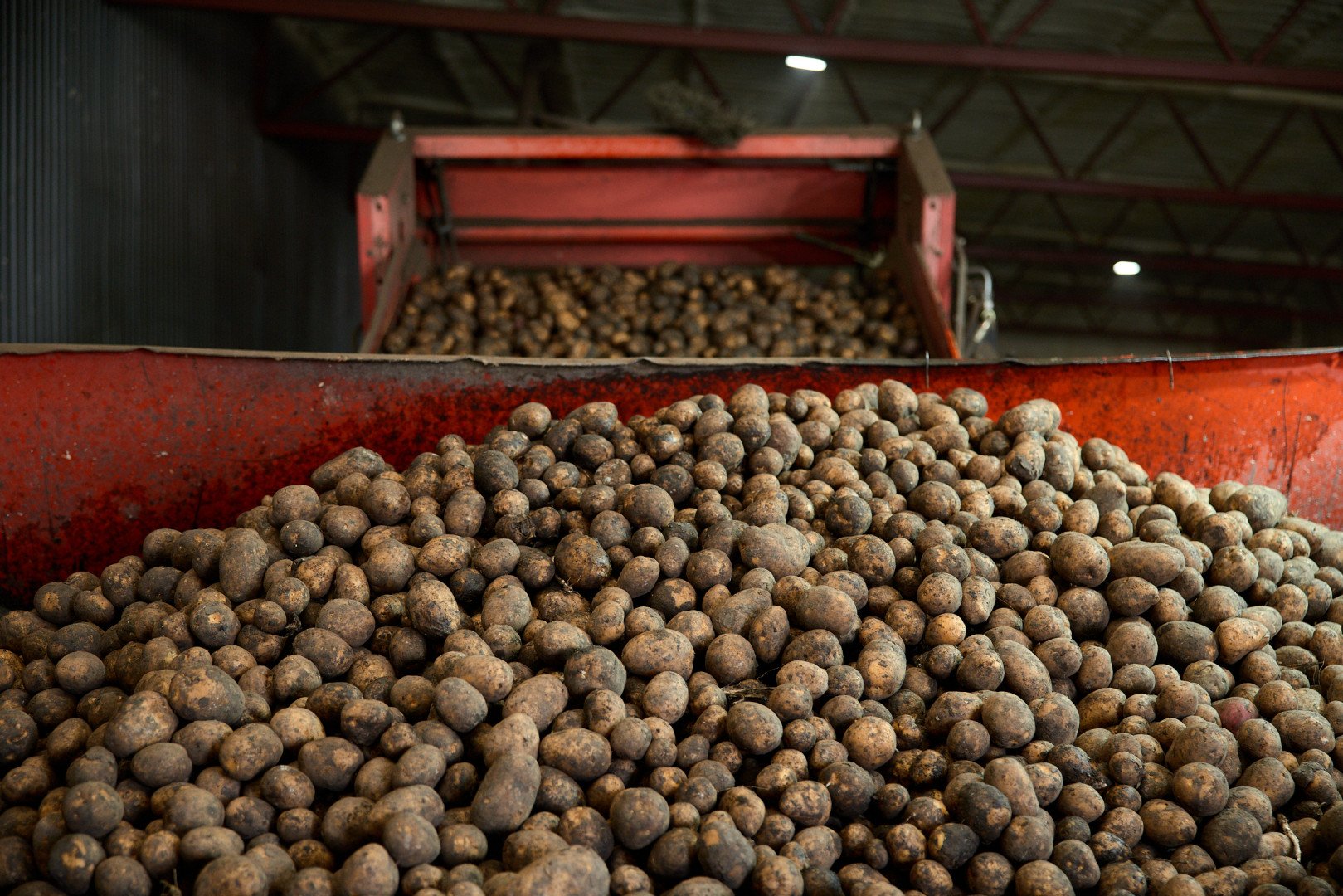 Источник: X5