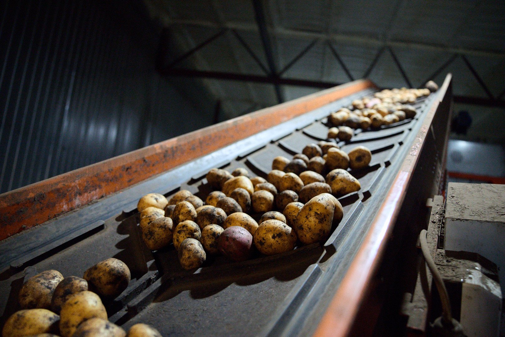 Источник: X5