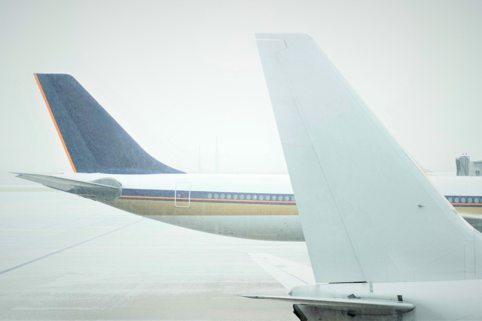 Источник: «Деловые линии»