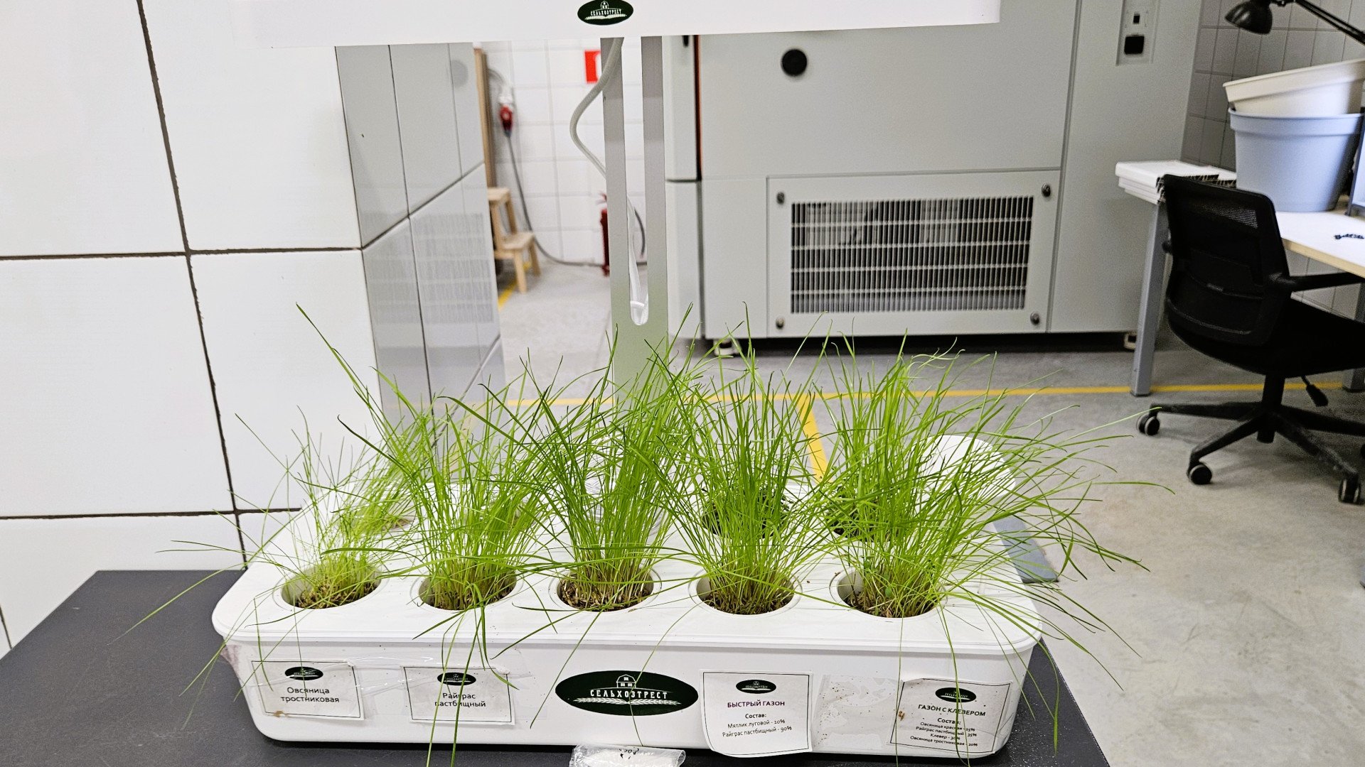 Фото: Агеенкова А. / Retail.ru