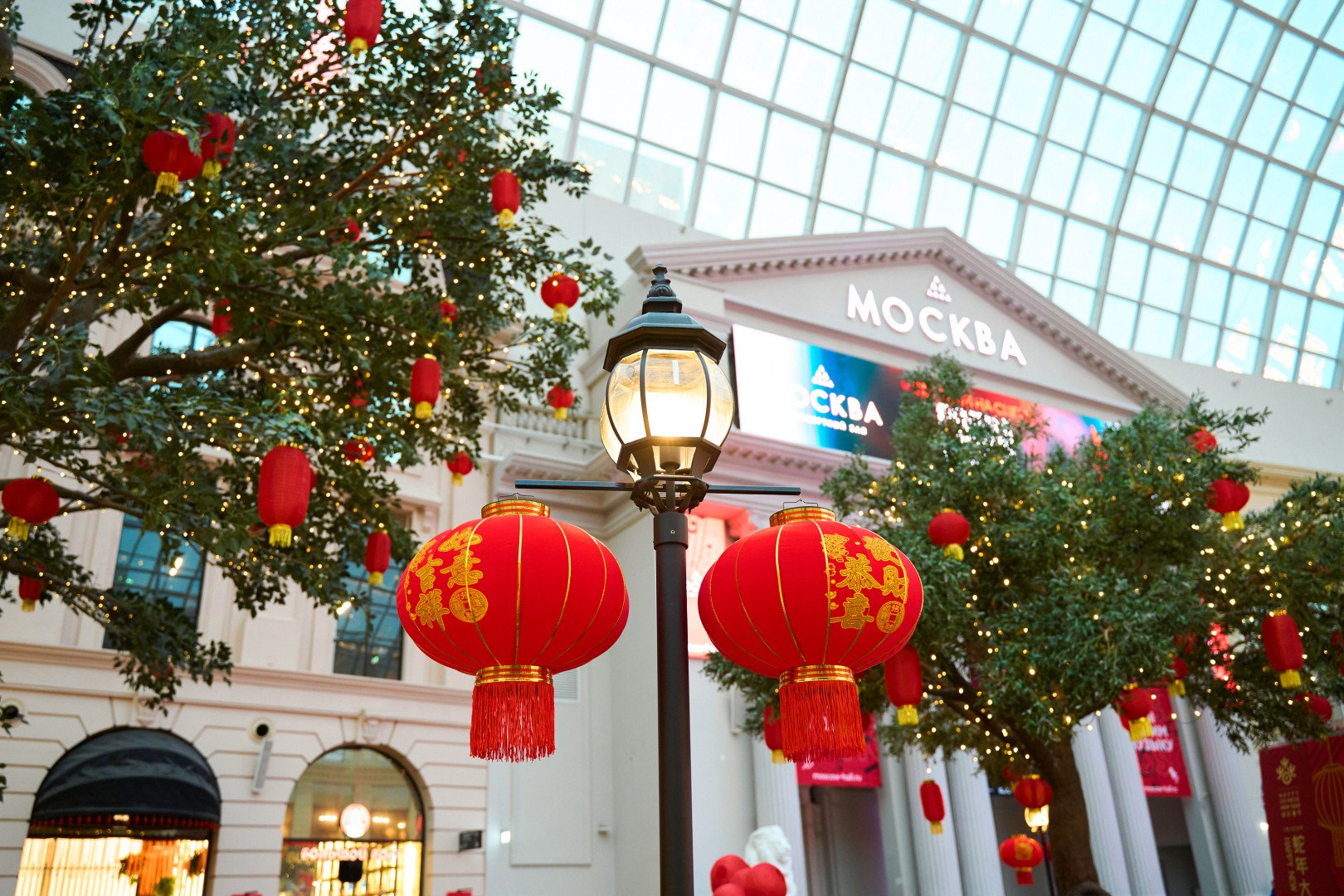 Источник: «Остров Мечты»