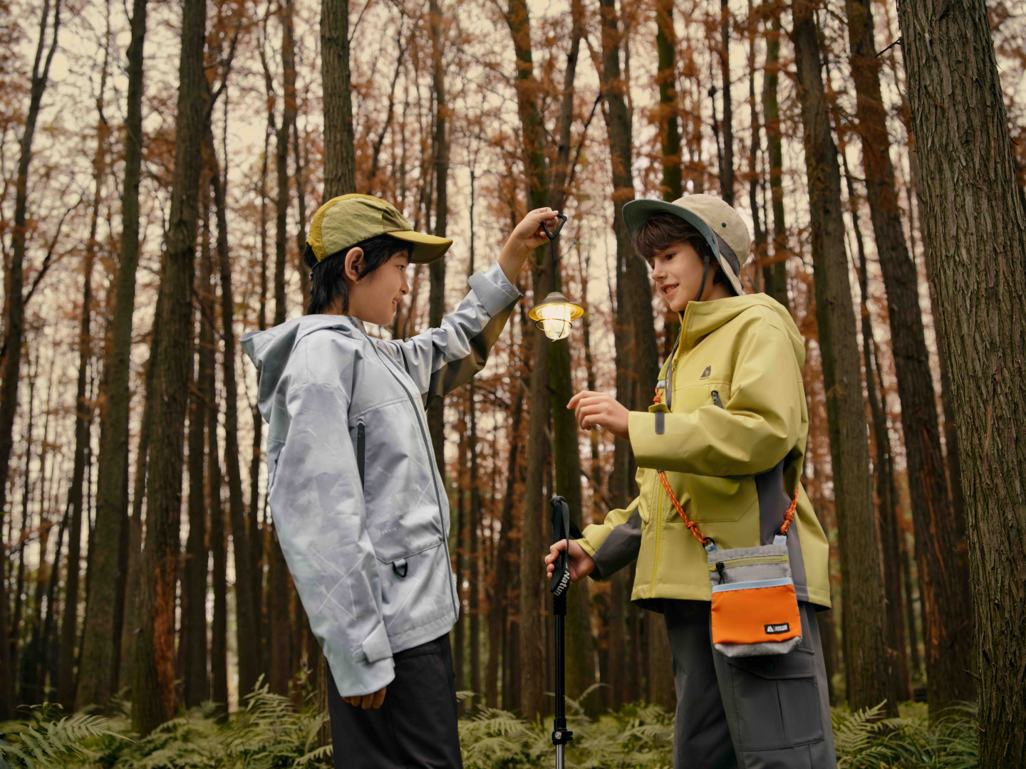 Источник: Balabala  Источник: Balabala