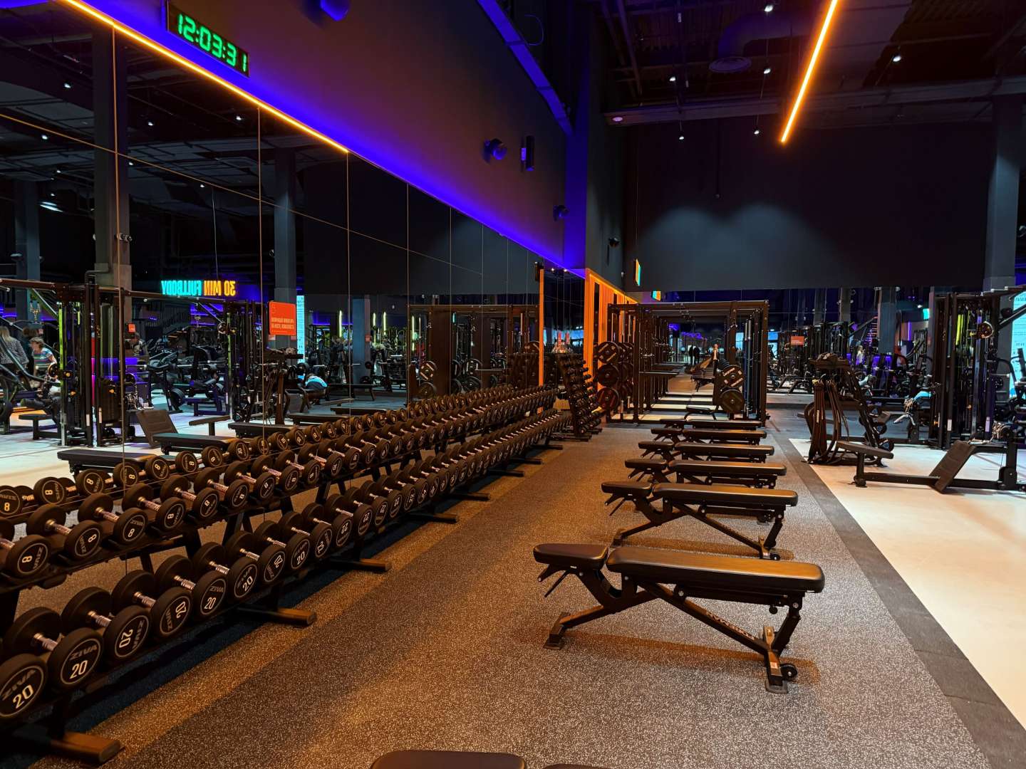 Источник: DDX Fitness 