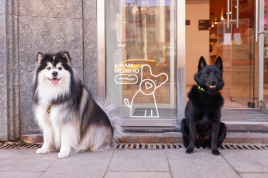Компания МТС открыла свои магазины для домашних животных