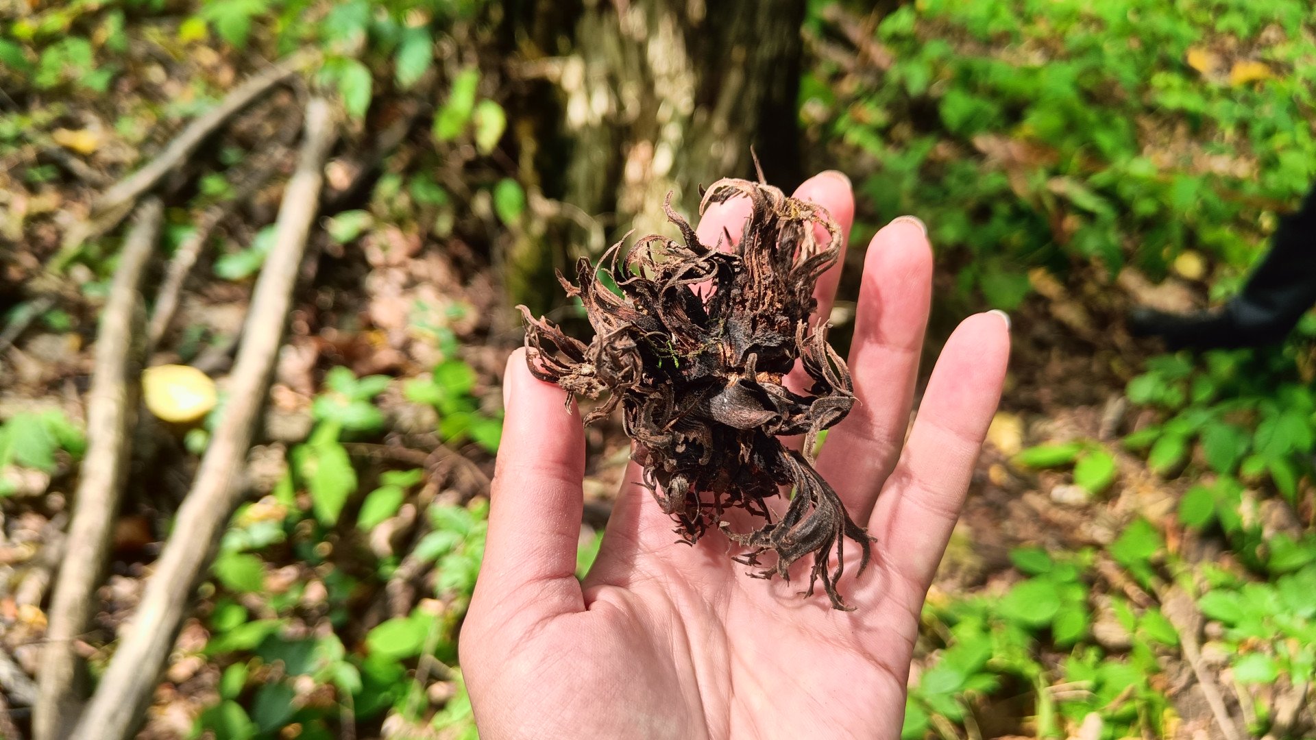 Источник: «Лемана Про»