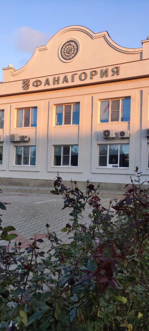 Источник: Фанагория