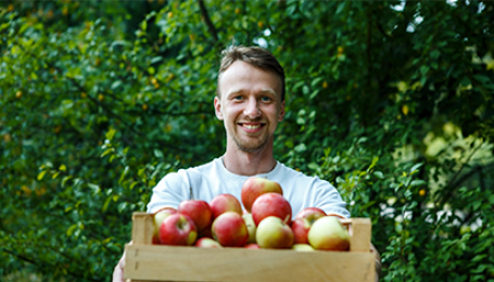 «Ешь деревенское»: технологии продаж фермерских продуктов