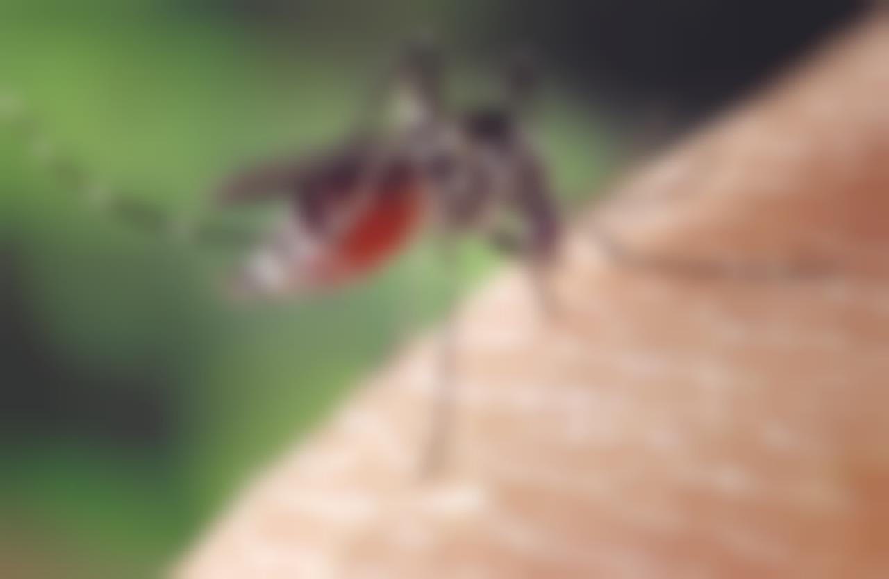 Источник: Pixabay