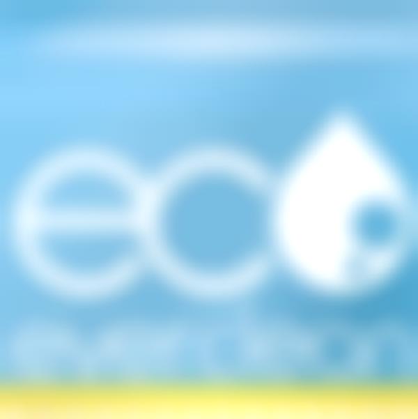 EverClean