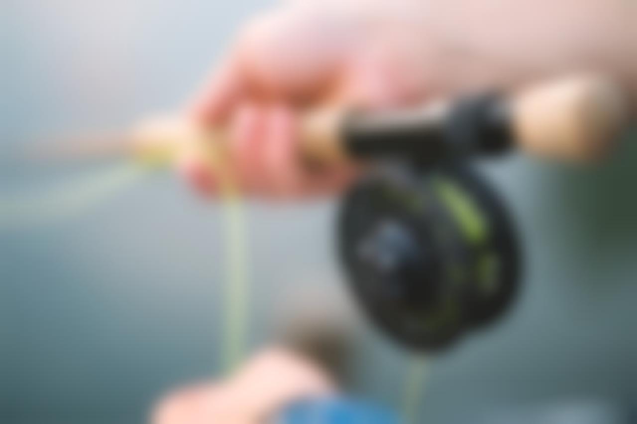 Free-Photos / pixabay