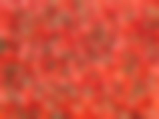tomatoes.jpg