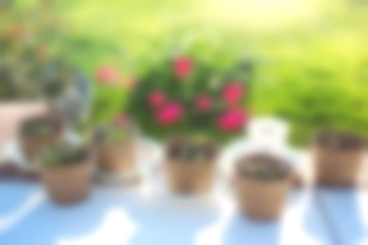Источник: Pixabay