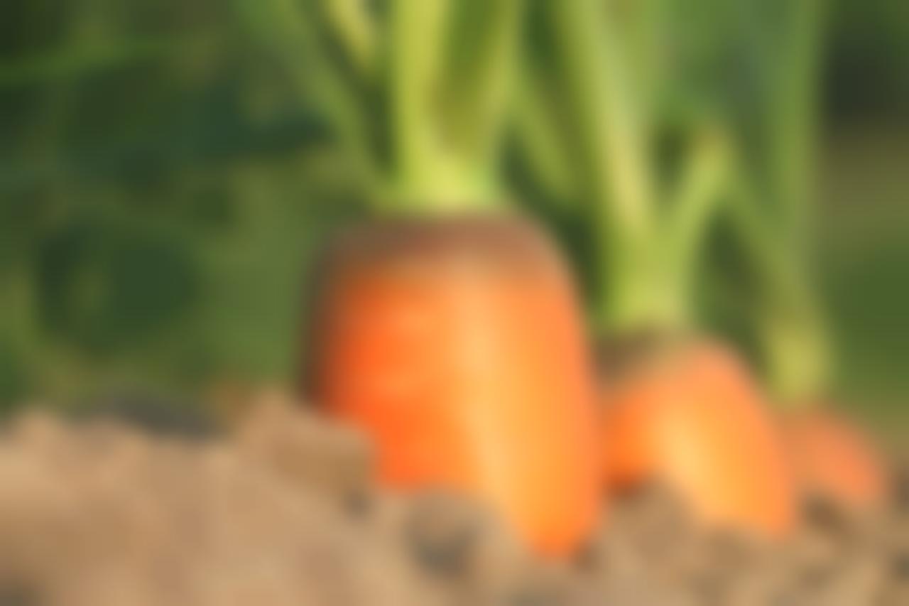 Источник: Pixabay