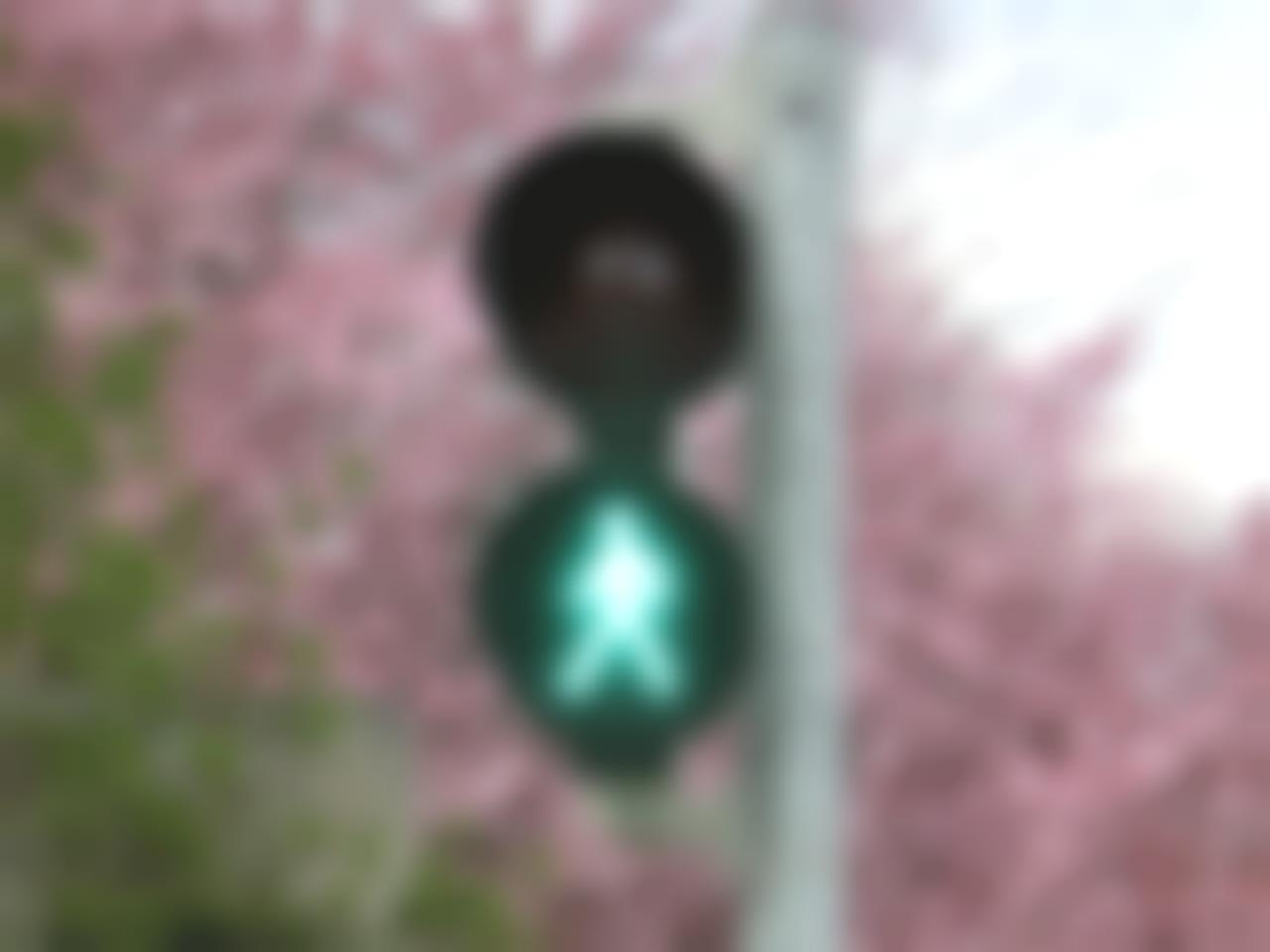 Lbokel / pixabay.com