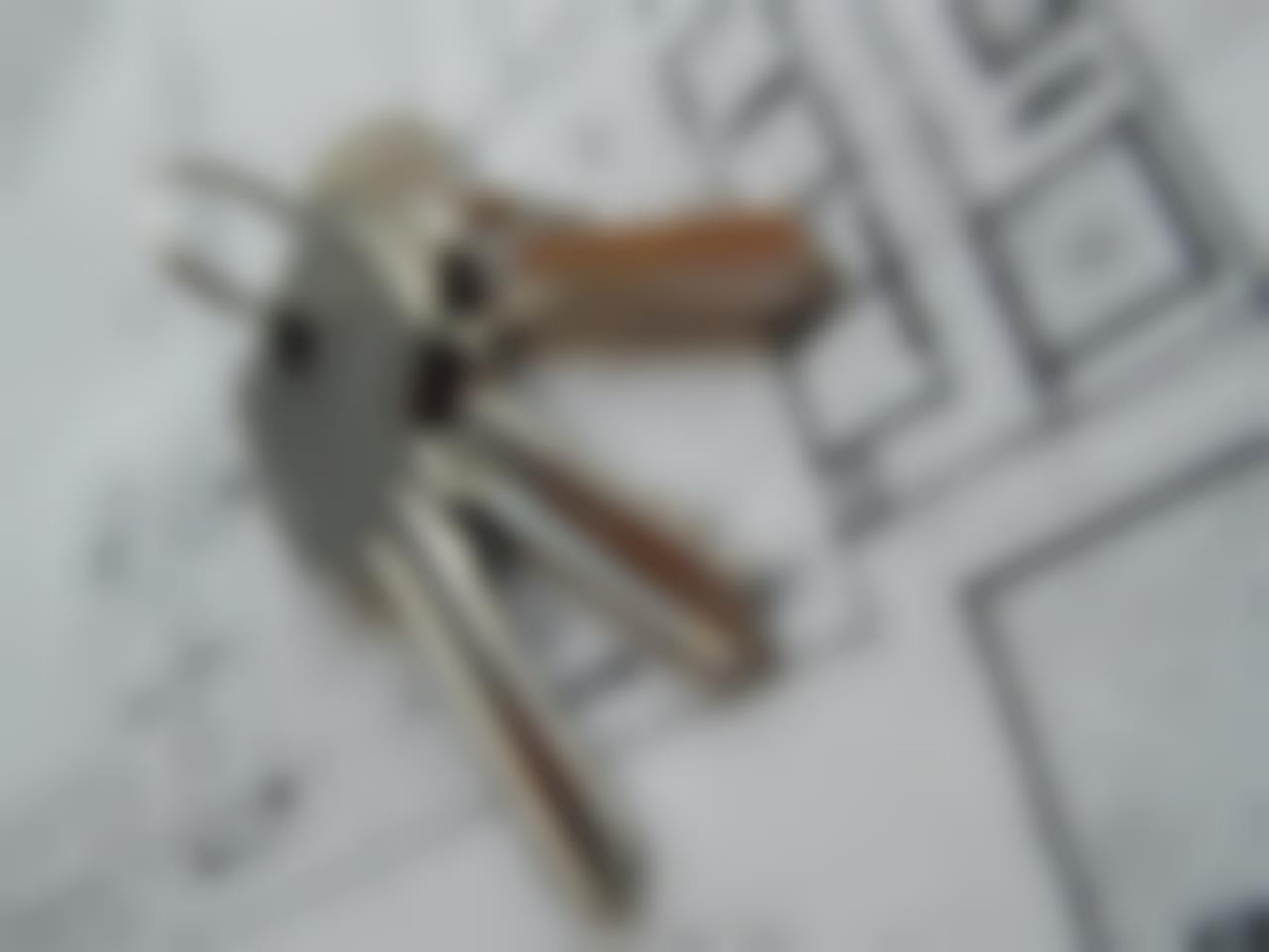 Топ ритейлеры рынка DIY будут расти, а форматы магазинов меняться