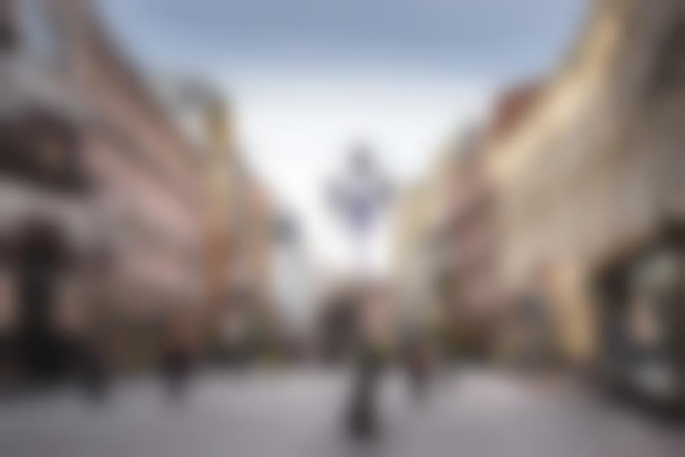 maslova/ Shutterstock