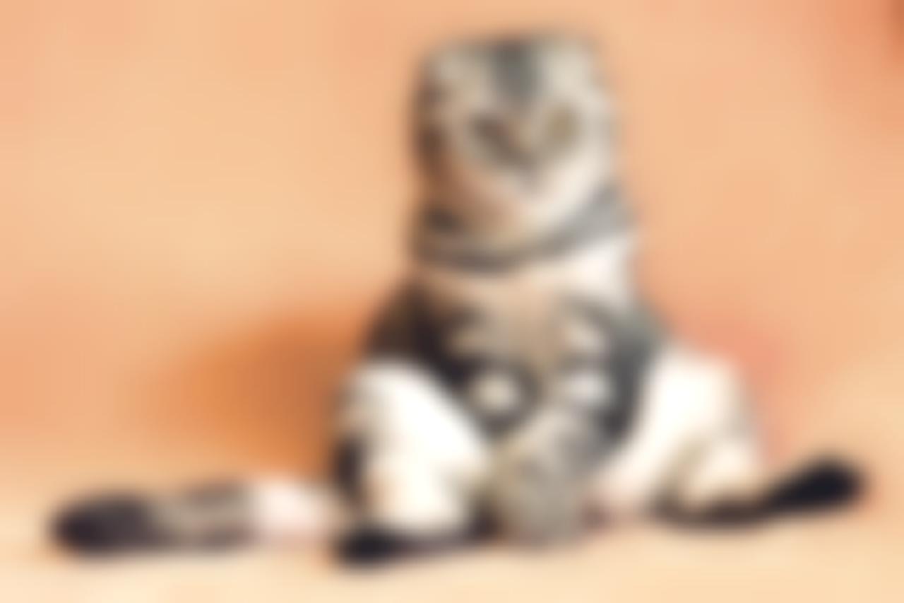 Источник: Pixabay