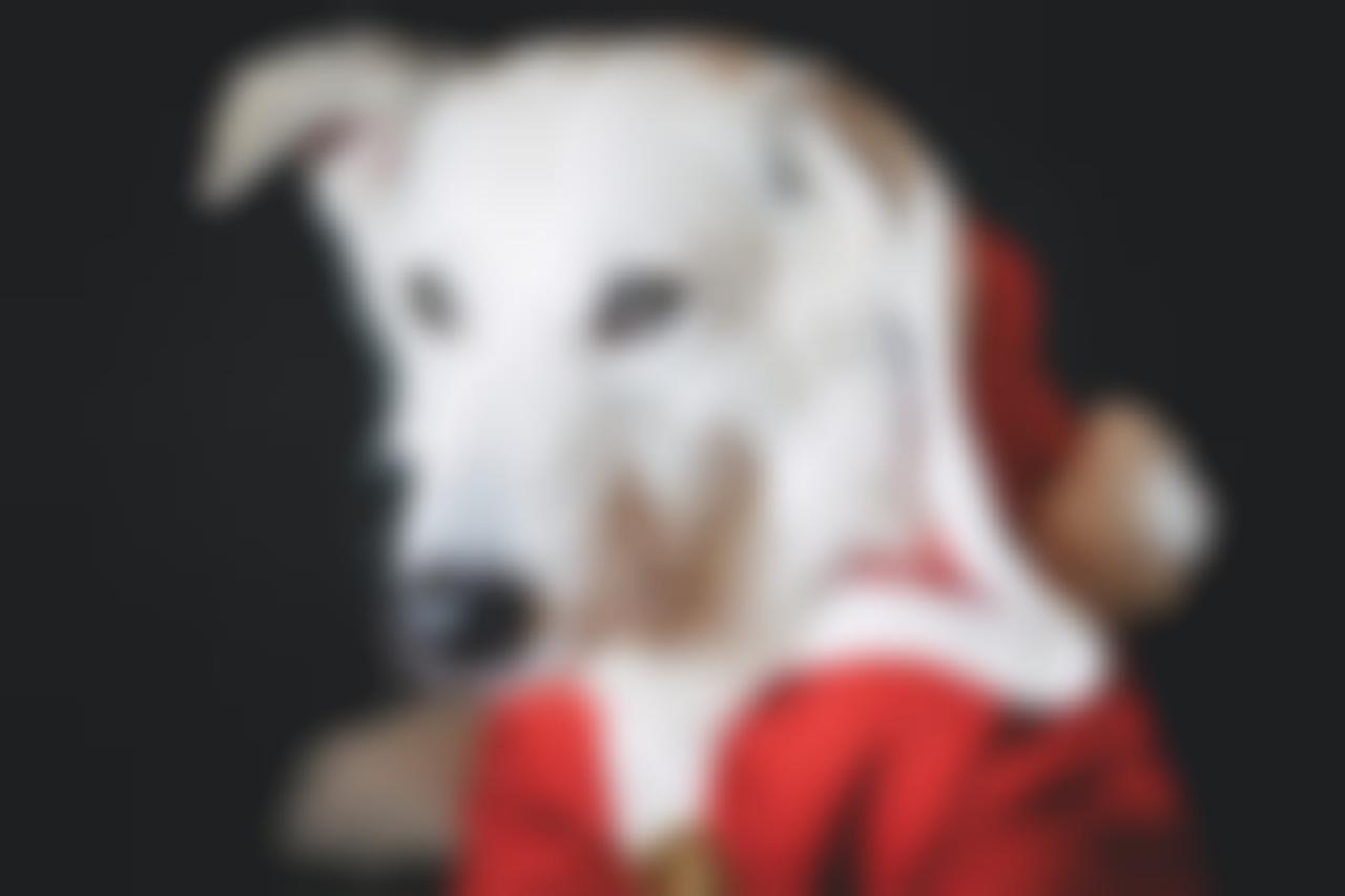 Источник: Pixabay