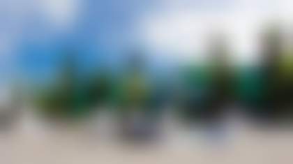 Декоративное изображение