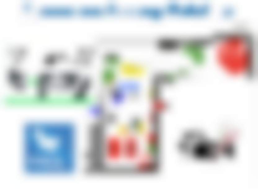 Briskly новость.jpg