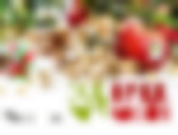 NG-2019 Prodexpo_el otkr_RU.jpg