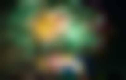 Новобранцы российского ритейла