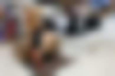 Как и зачем обувные магазины дают кредиты покупателям?