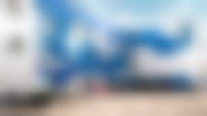 Декоративное изображение