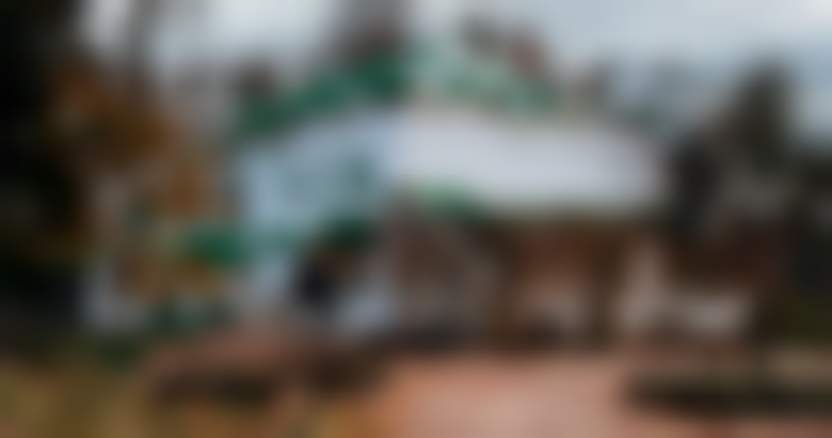 Фасад дома Толстого.jpg