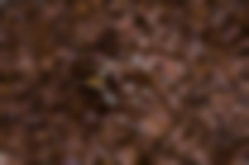 Negative Space/ Pexels