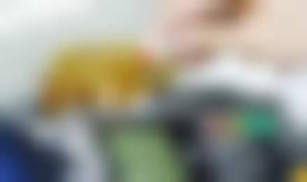 Юани на кармане