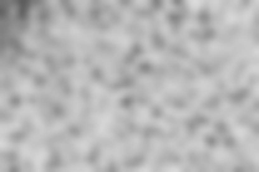 bedneyimages/Freepik