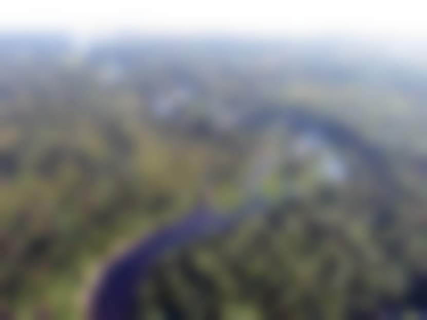 Мурманская область - Нерестоохранные леса.JPG