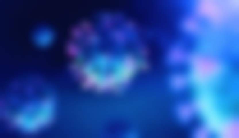 Andrii Vodolazhskyi / shutterstock