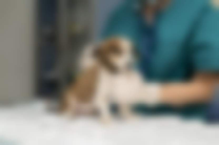 Источник: Freepik