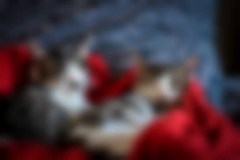 Источник: Pexels