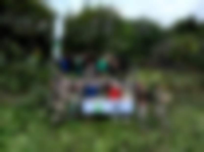 444444.jpg