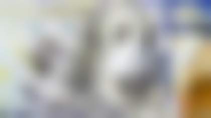 Декоративное изображение