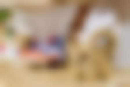 «Textile&Home-2024.Весна» (2).jpeg