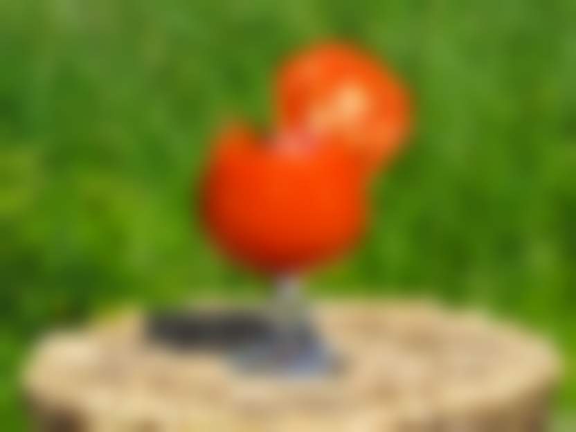 Dvinchanin / Pixabay 