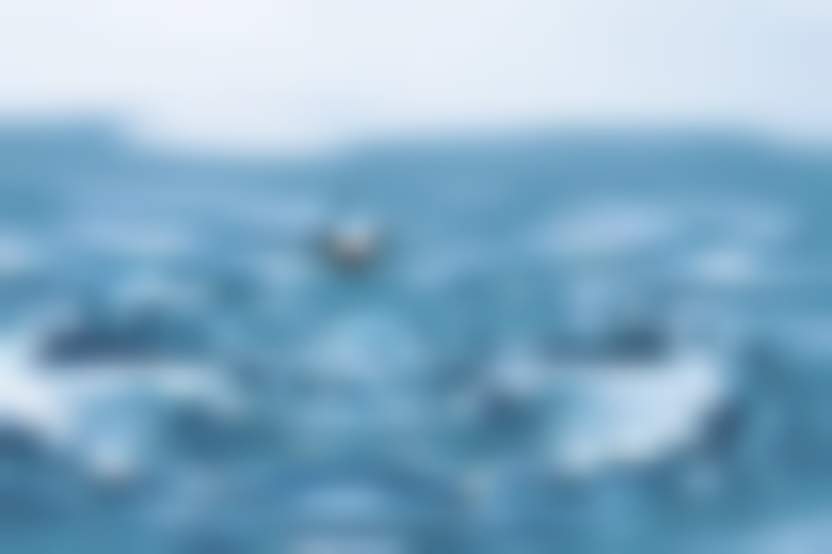 rony michaud/ Pixabay