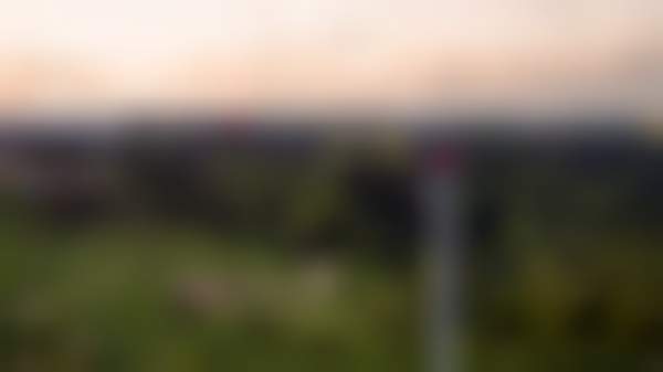 Нестле_возобновляемая электроэнергия_1.png