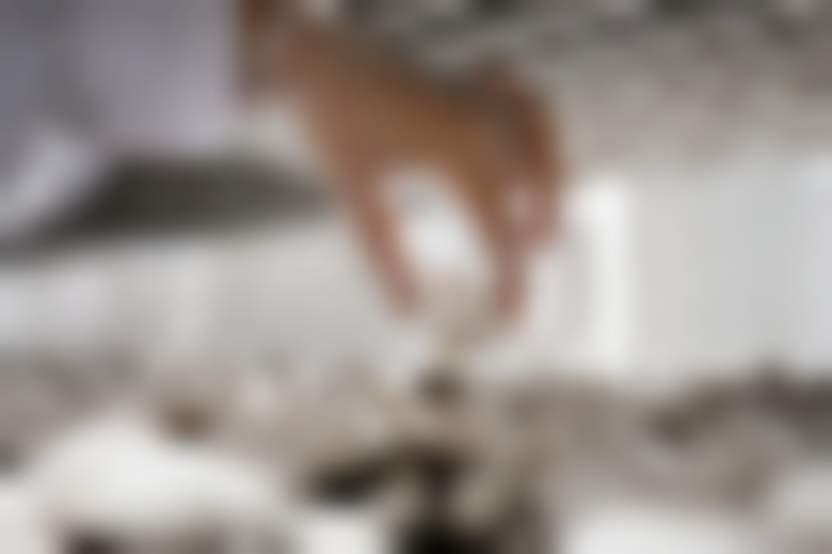 Вячеслав Краснояров, «Магнит»: «Планируем на 30% увеличить собственное производство овощей в 2020 году»