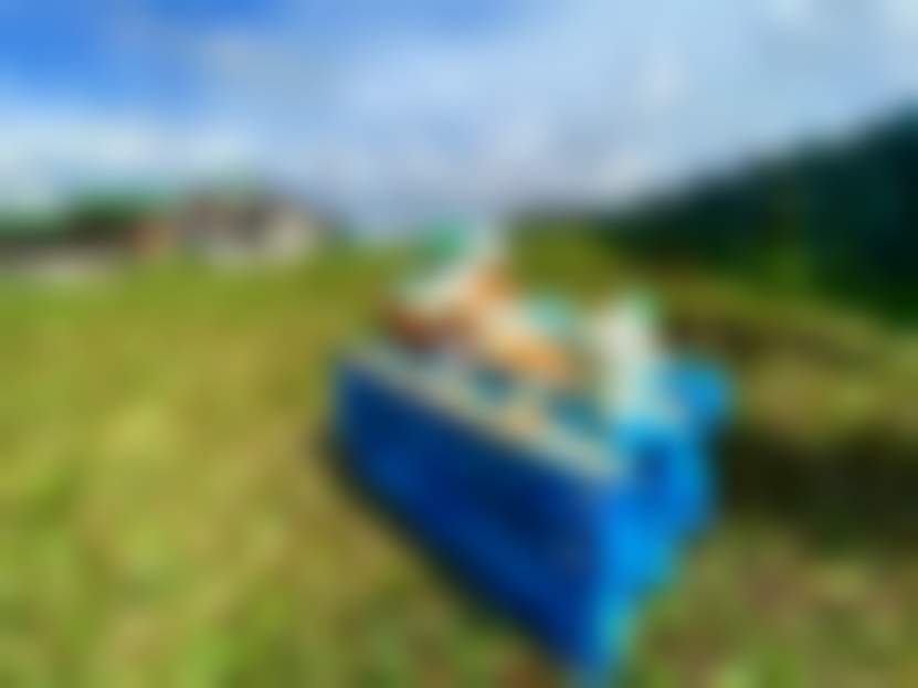 IMG_9737.JPEG