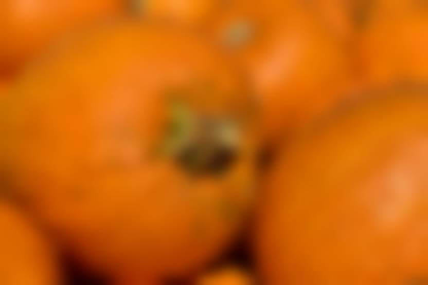 Ulrike Leone / Pixabay 